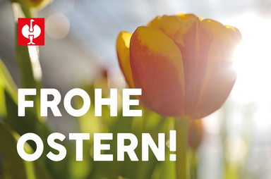 Gutscheinmotiv im Design Frohe Ostern Tulpe