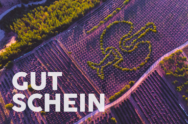 Gutscheinmotiv im Design Gutschein Feld