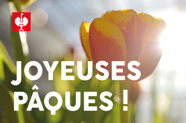 Gutscheinmotiv im Design Frohe Ostern Tulpe -fr